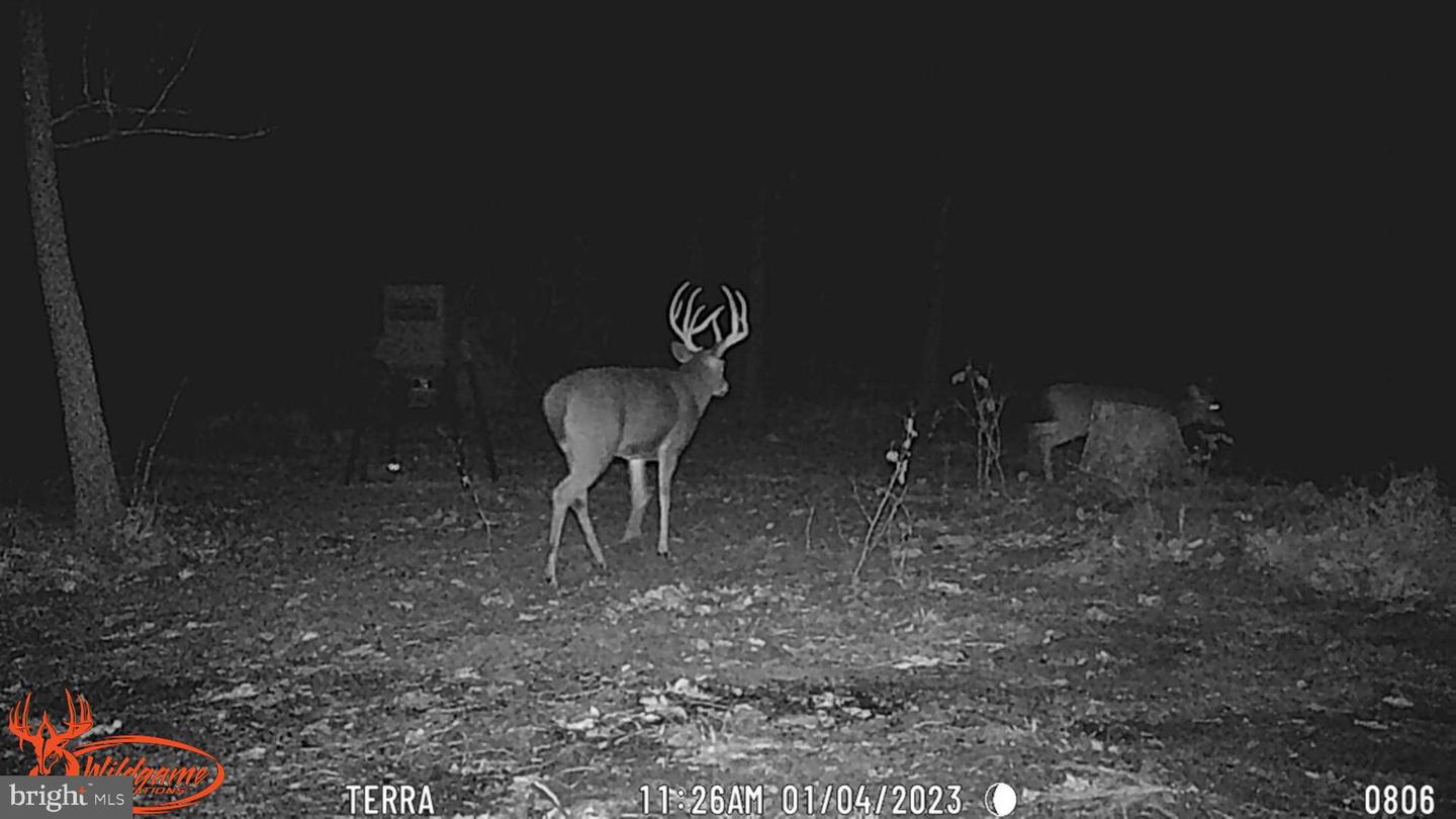 0 Turkey Point Rd Property Photo 19