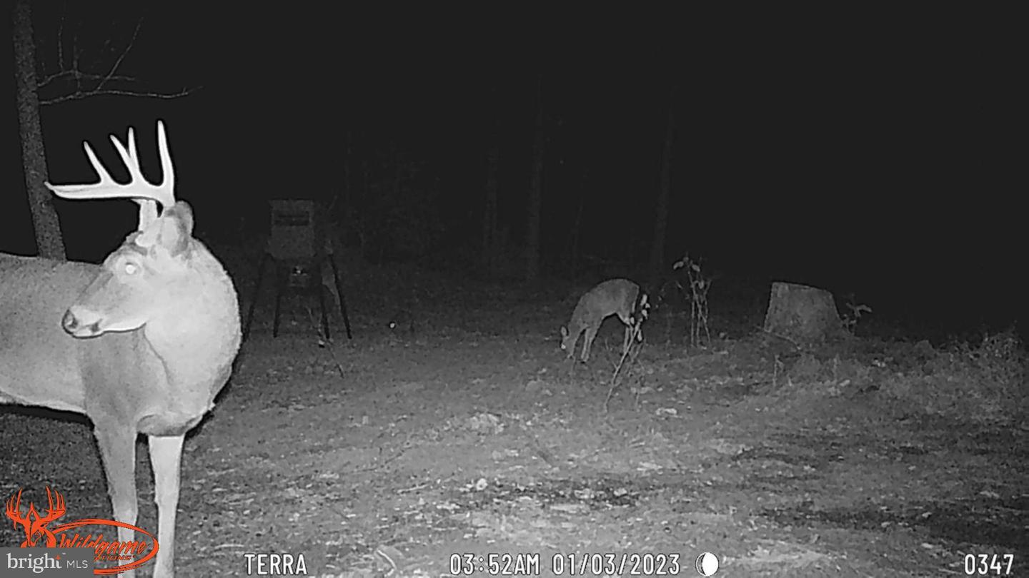 0 Turkey Point Rd Property Photo 20