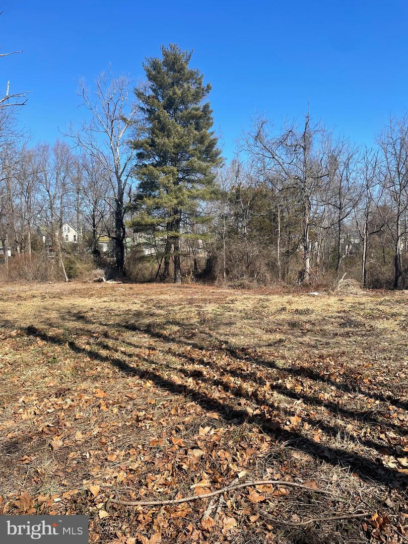 Parcel # 66 Rolling Mill Property Photo 3