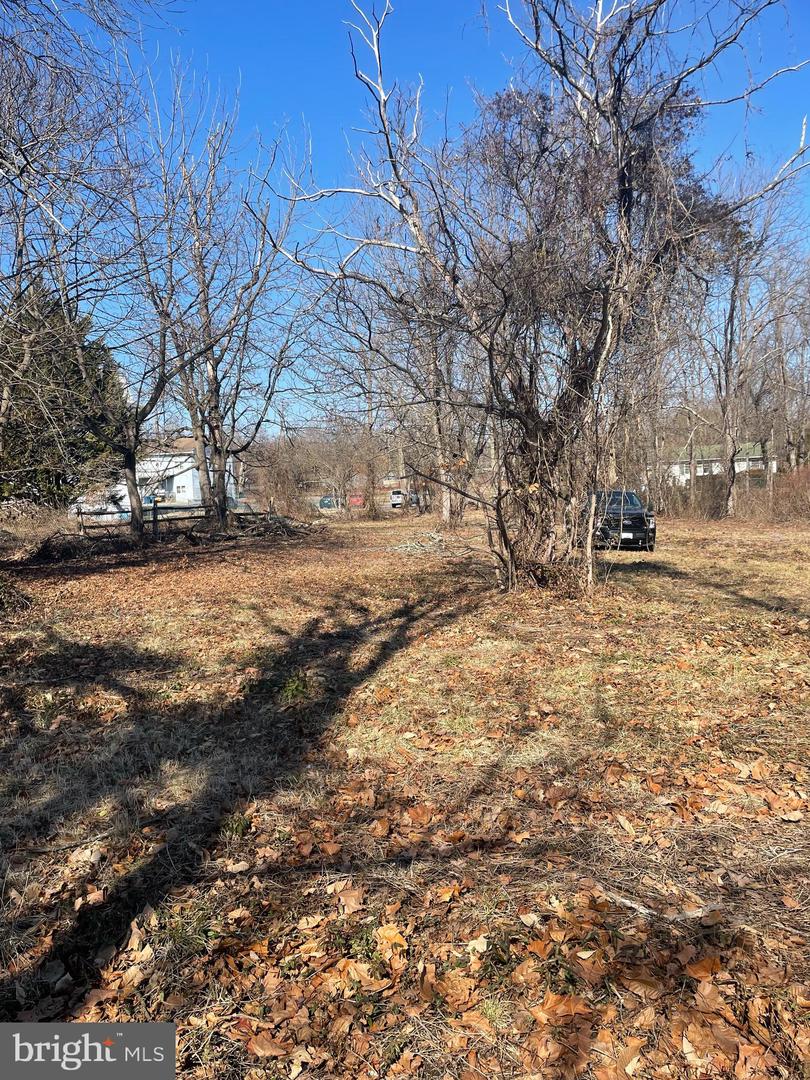 Parcel # 66 Rolling Mill Property Photo 4