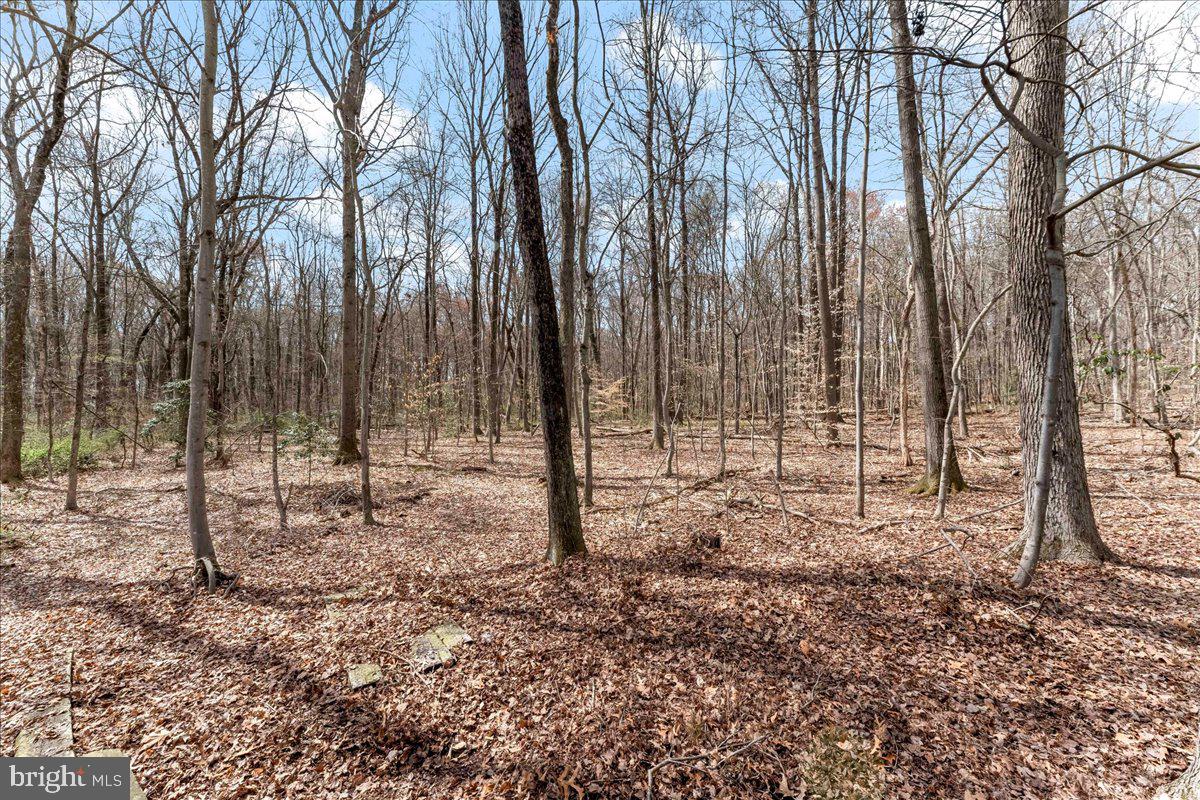 165 Woodall Rd Property Photo 3