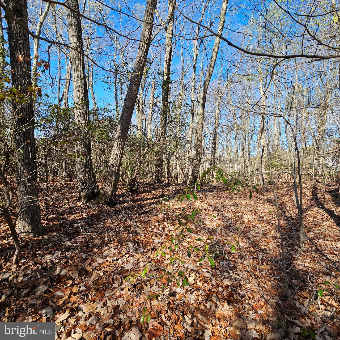 Shagbark Ln Property Photo 3
