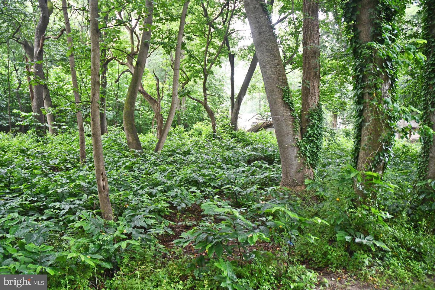 Connecticut Ave Property Photo 1