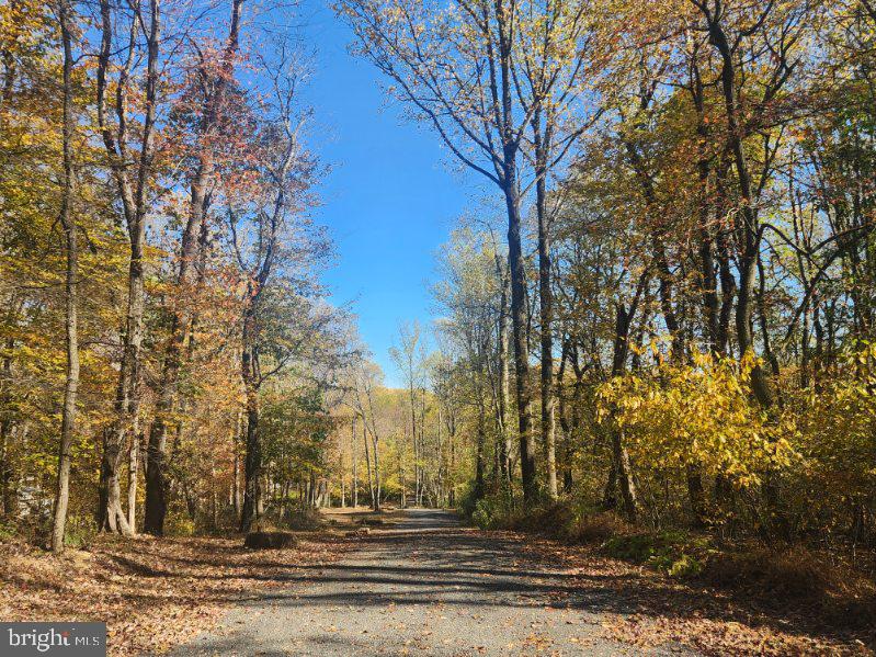 Lot 4 Mullins Ct Property Photo 1