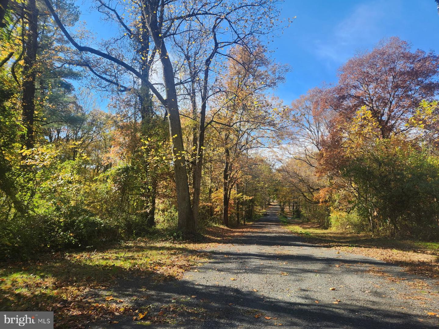 Lot 4 Mullins Ct Property Photo 2