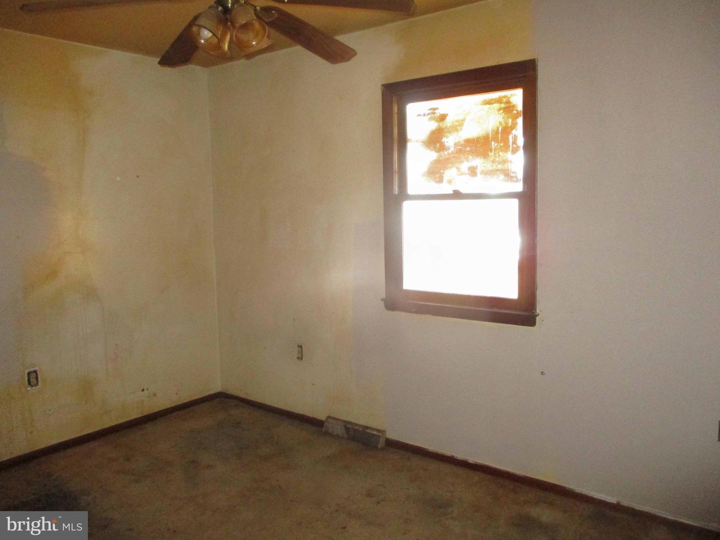 211 Greenwood St Property Photo 10
