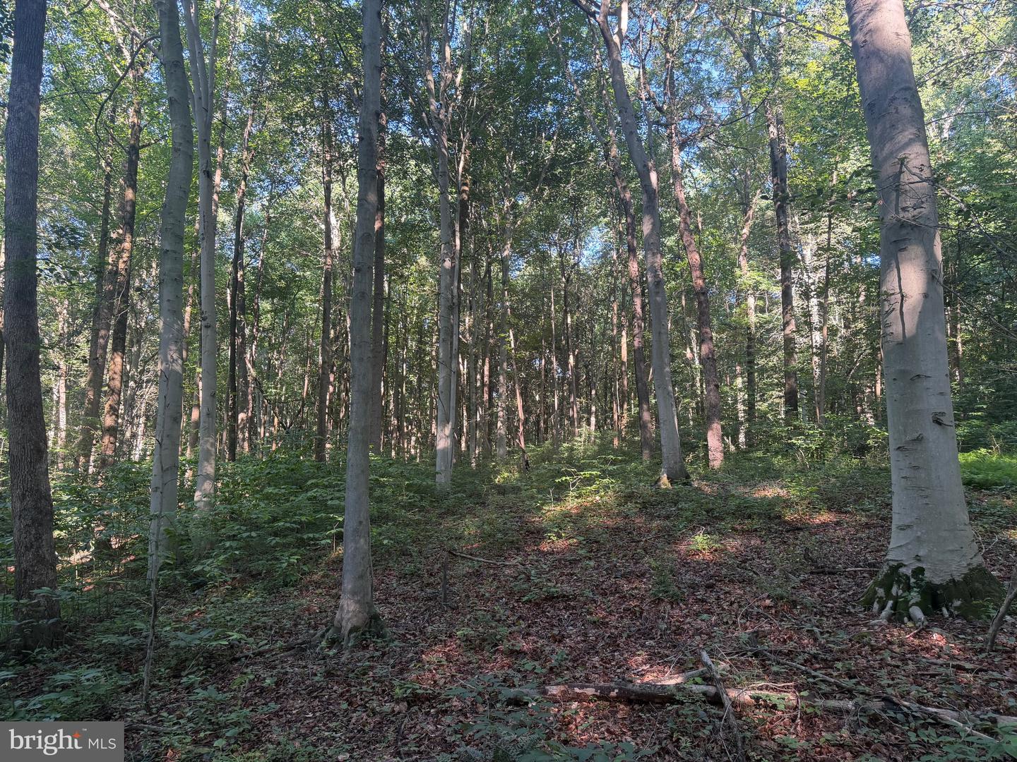 0 Rock Springs Rd Property Photo 34