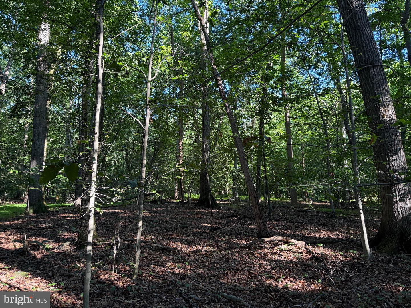 0 Rock Springs Rd Property Photo 57