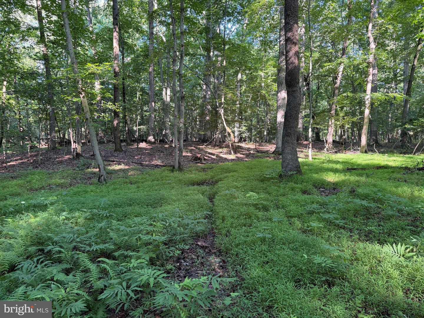 0 Rock Springs Rd Property Photo 58