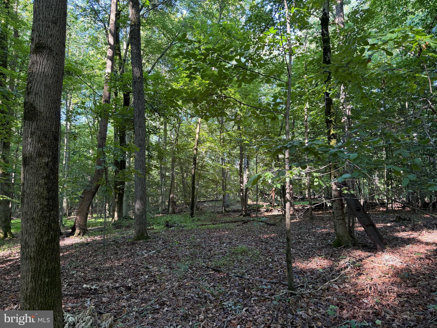 0 Rock Springs Rd Property Photo 61