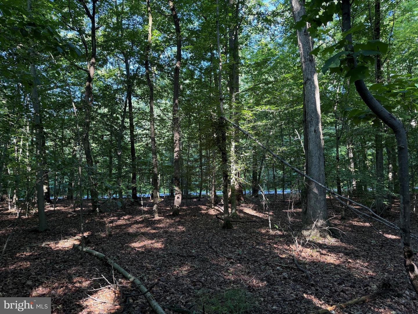 0 Rock Springs Rd Property Photo 64