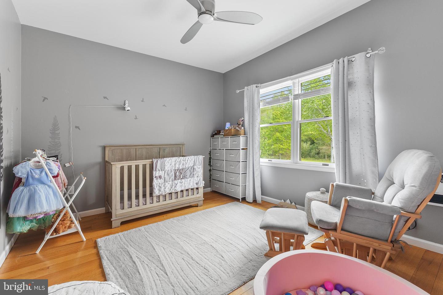 143 Clemencia Rd Property Photo 34