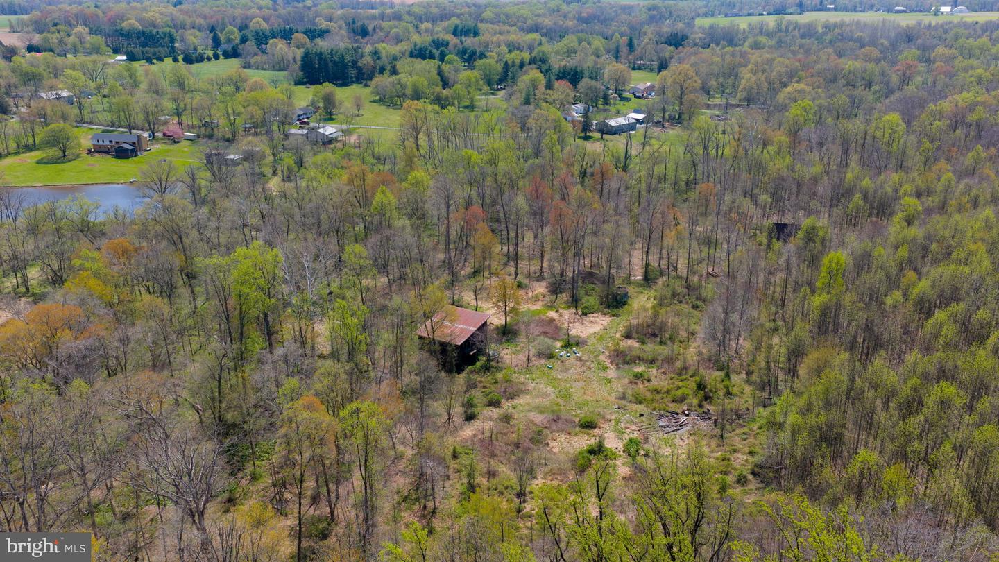 95 Frog Hollow Ln Property Photo 2