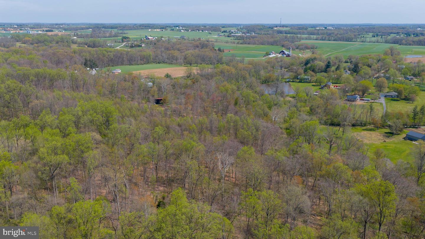 95 Frog Hollow Ln Property Photo 6