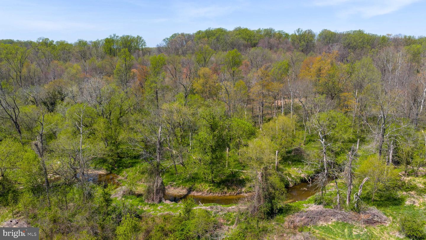 95 Frog Hollow Ln Property Photo 18