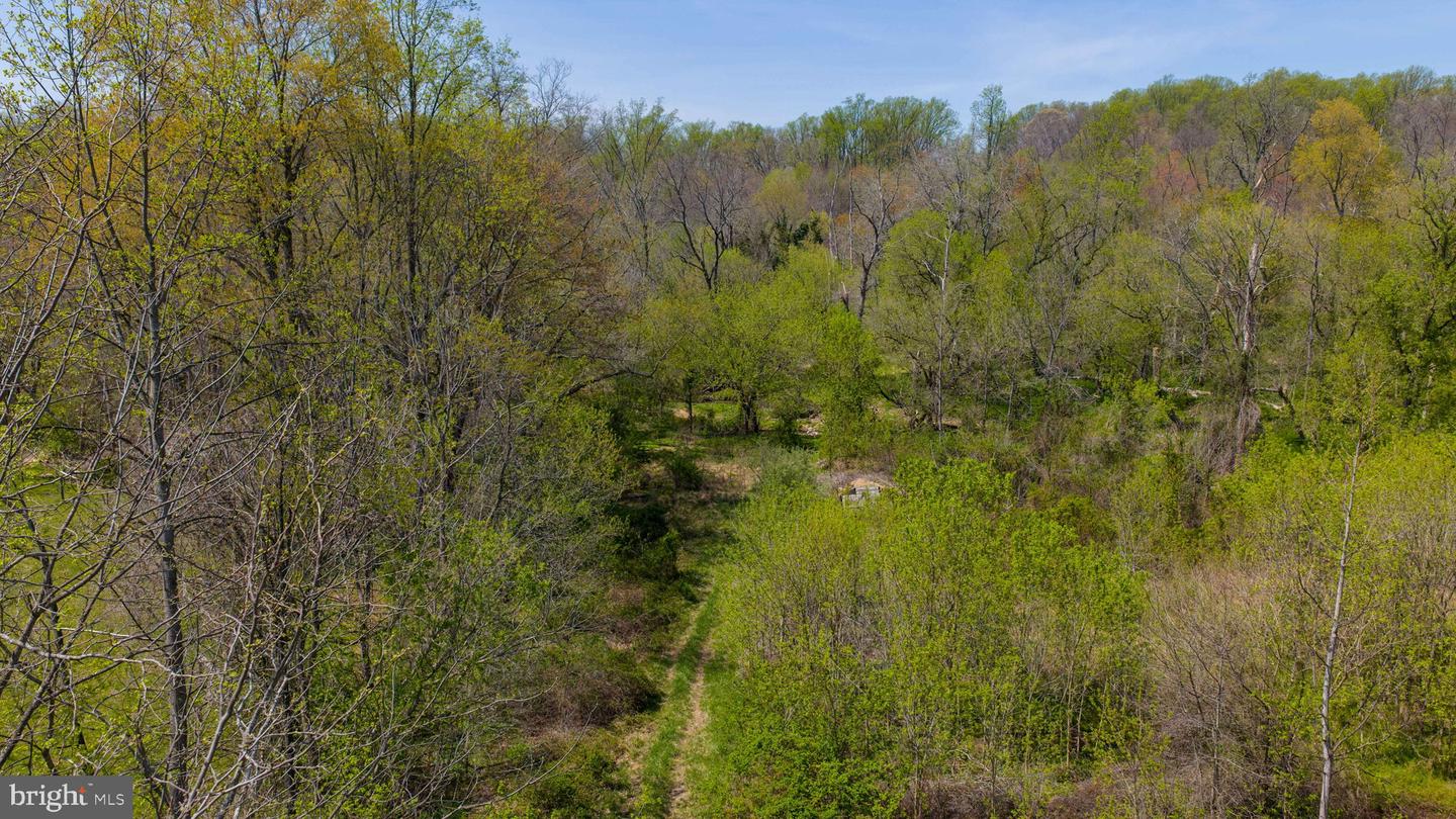 95 Frog Hollow Ln Property Photo 19