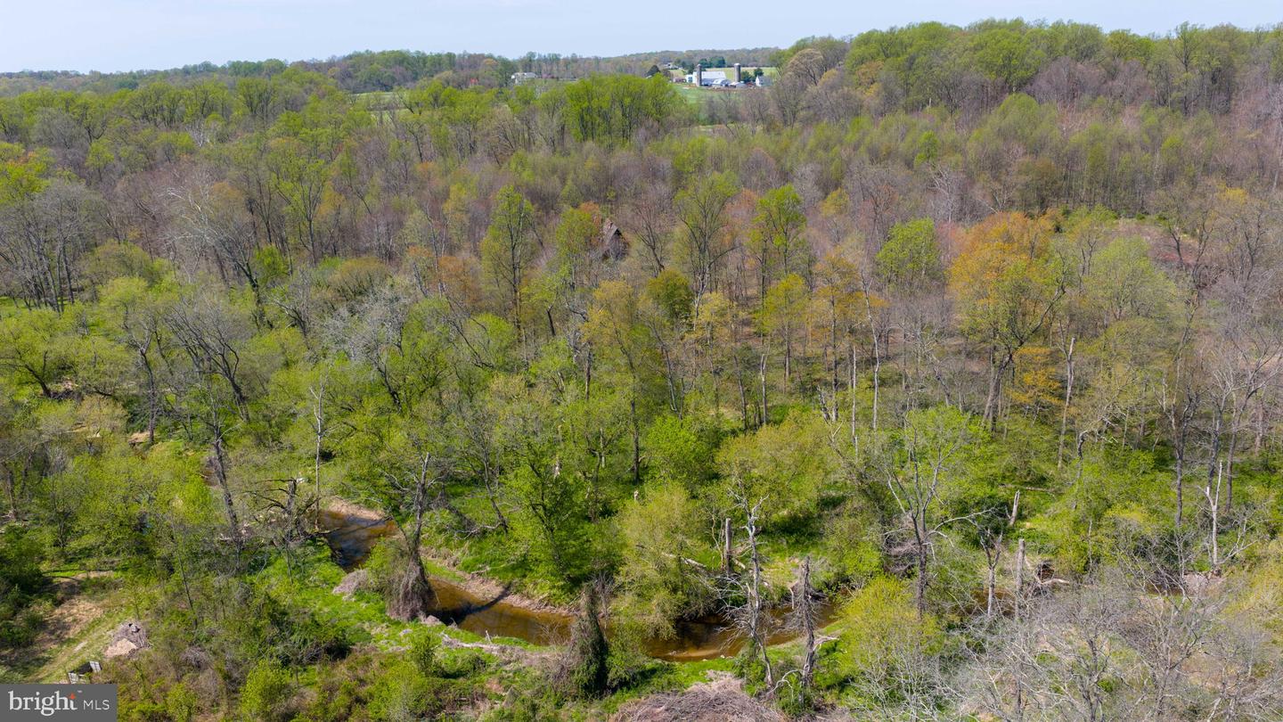 95 Frog Hollow Ln Property Photo 22