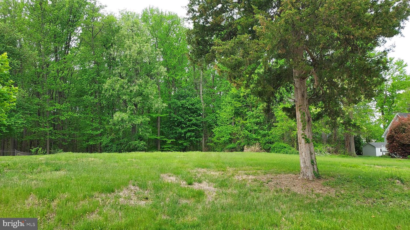 395 HAZELMOOR DR