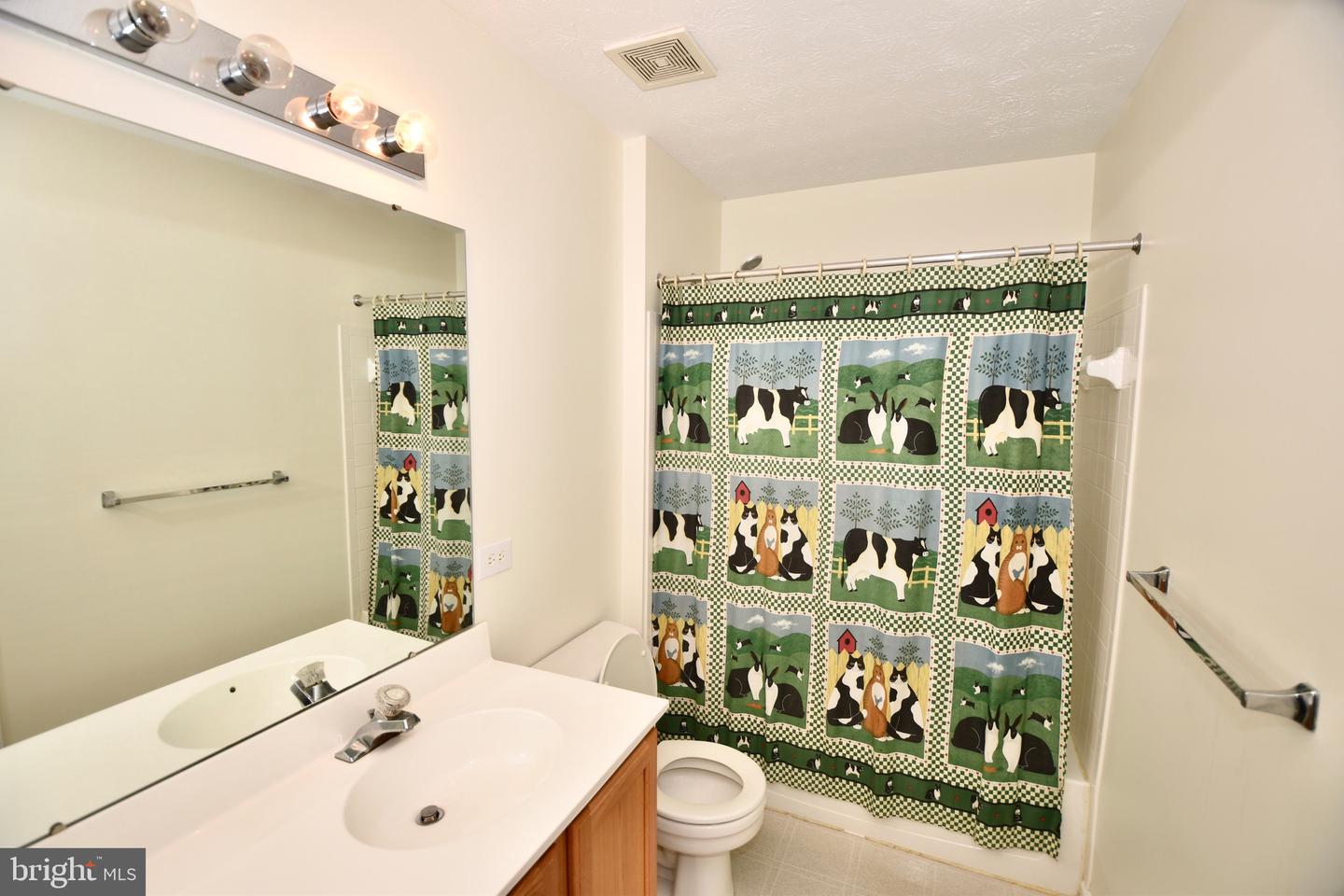 57 Forge Ct Property Photo 18