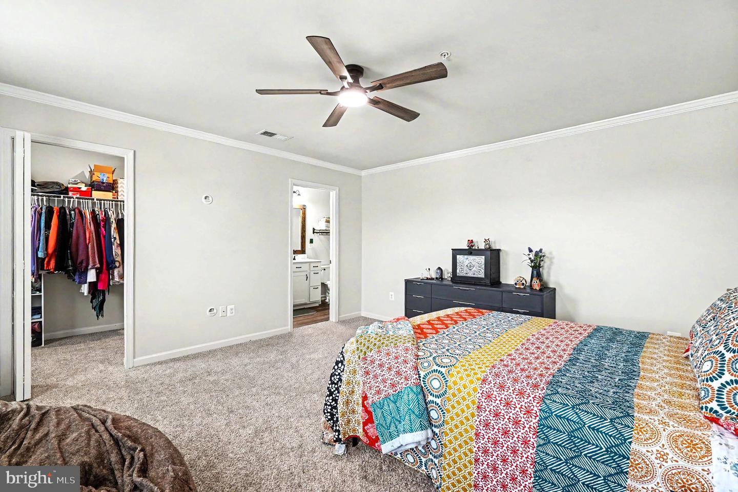 17 Viburnum Ave Property Photo 10