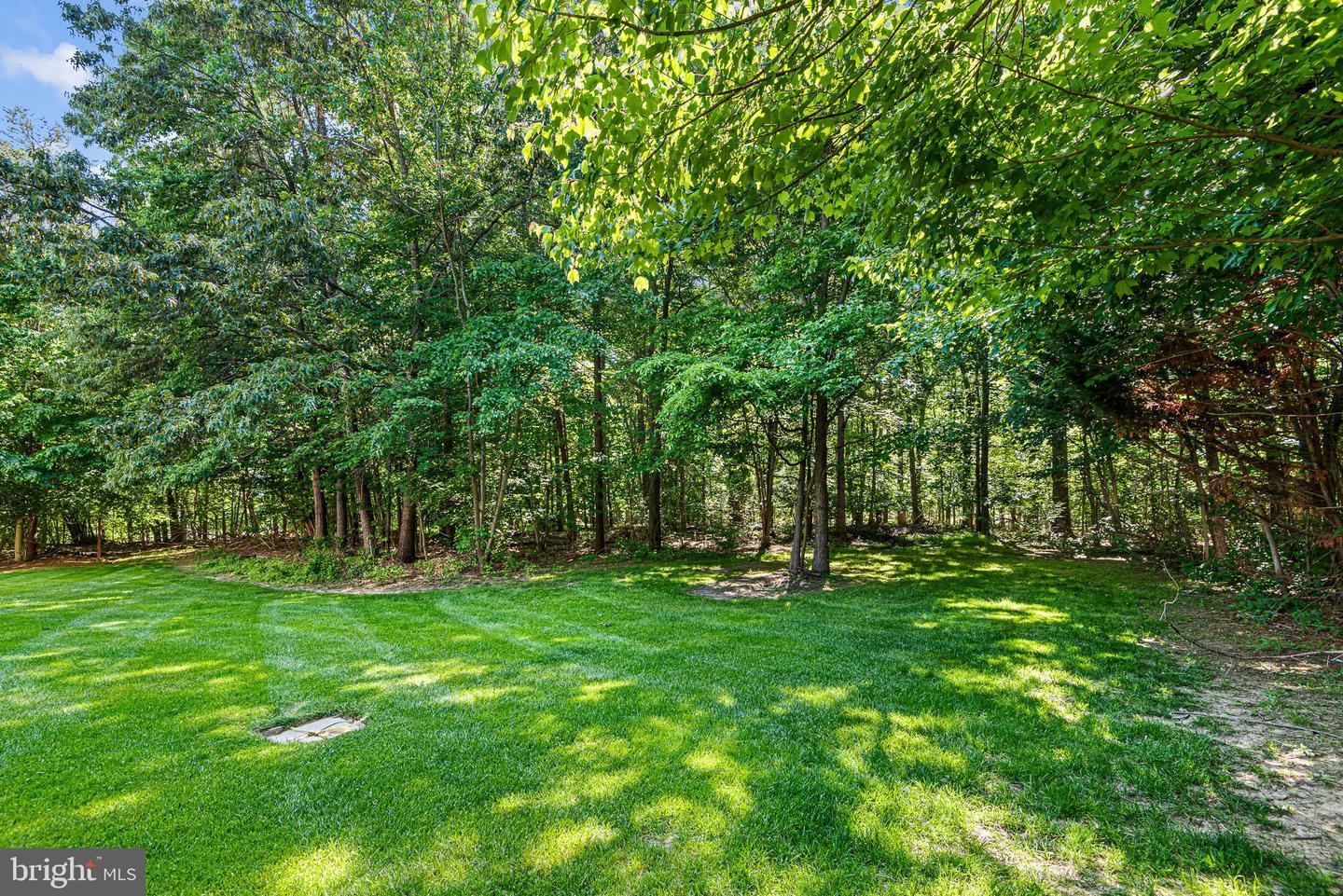 233 Woodholme Way Property Photo 53