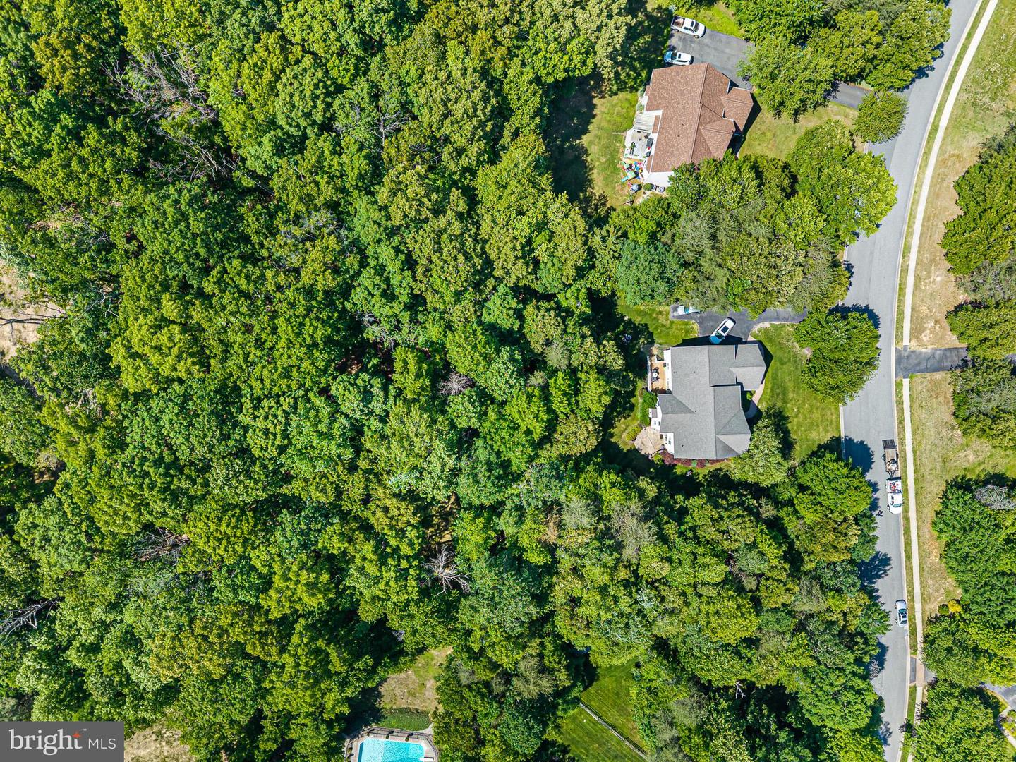 233 Woodholme Way Property Photo 62