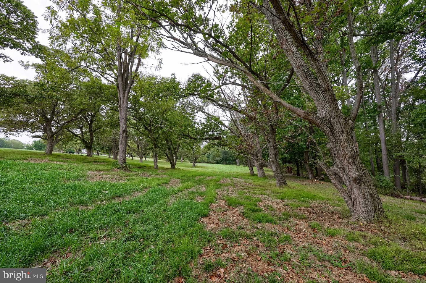 85 Green Haven Dr Property Photo 48