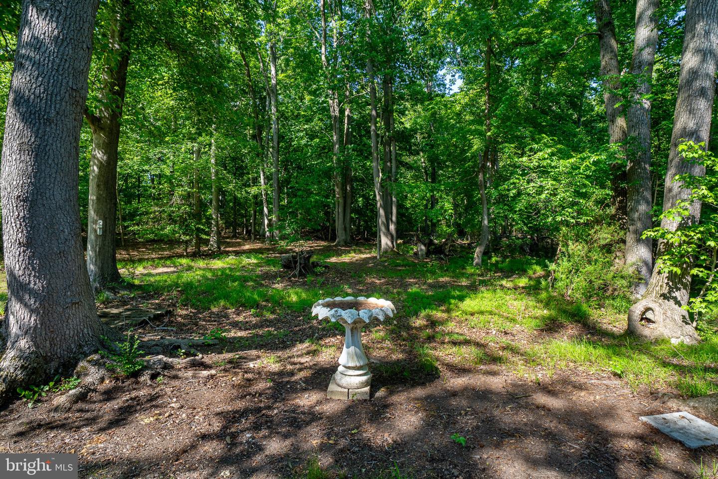 120 Long Beach Rd Property Photo 32