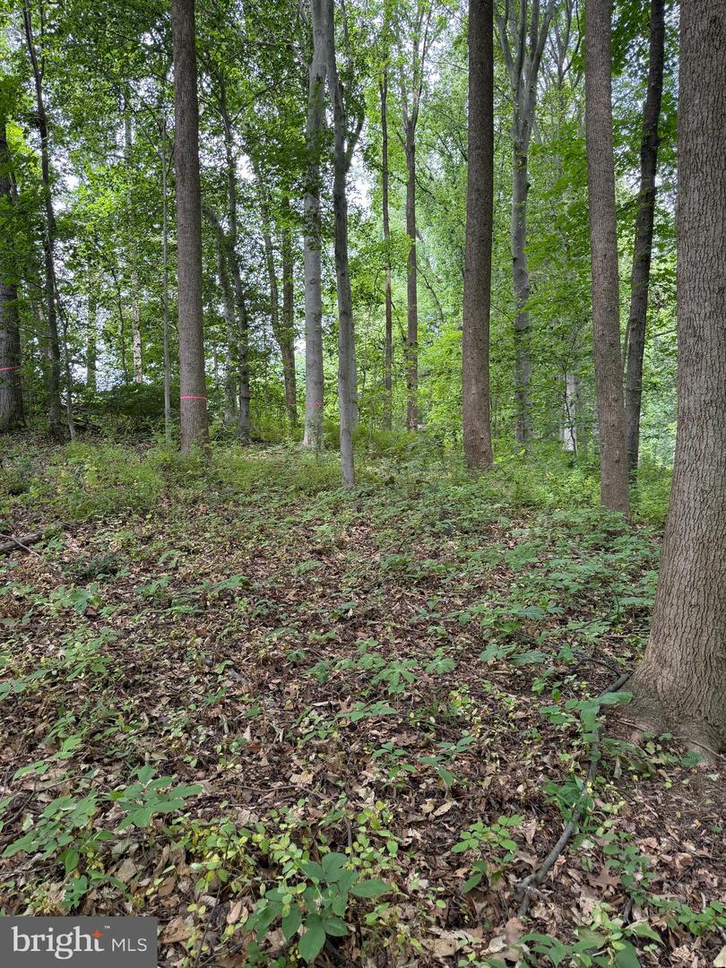 Ragan Rd Property Photo 2