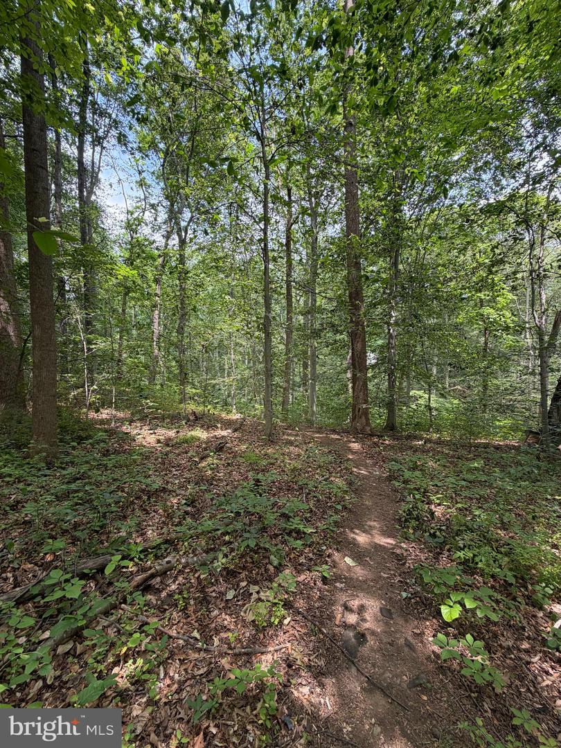 Ragan Rd Property Photo 3