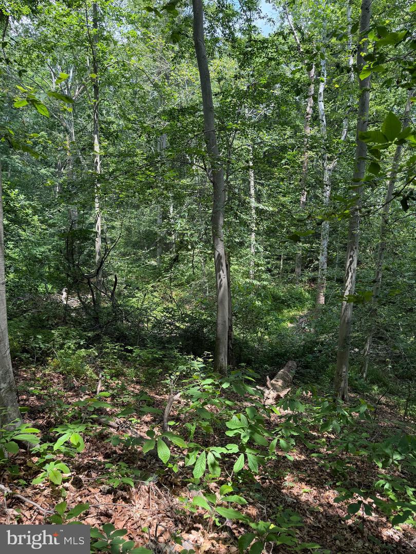 Ragan Rd Property Photo 5