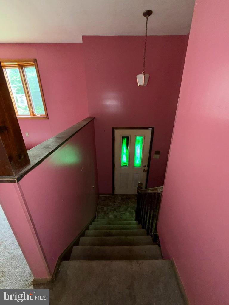 5 Brandywine Pl Property Photo 32
