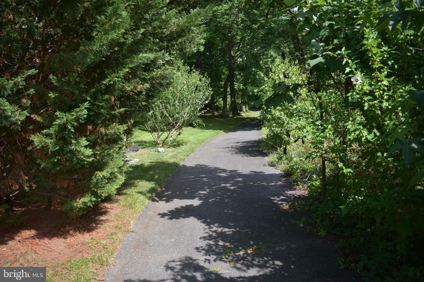 34 Guilford Property Photo 26
