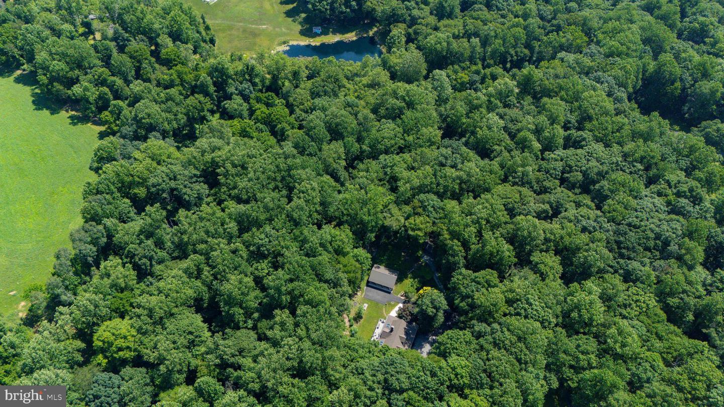 65 Calvary Rd Property Photo 43