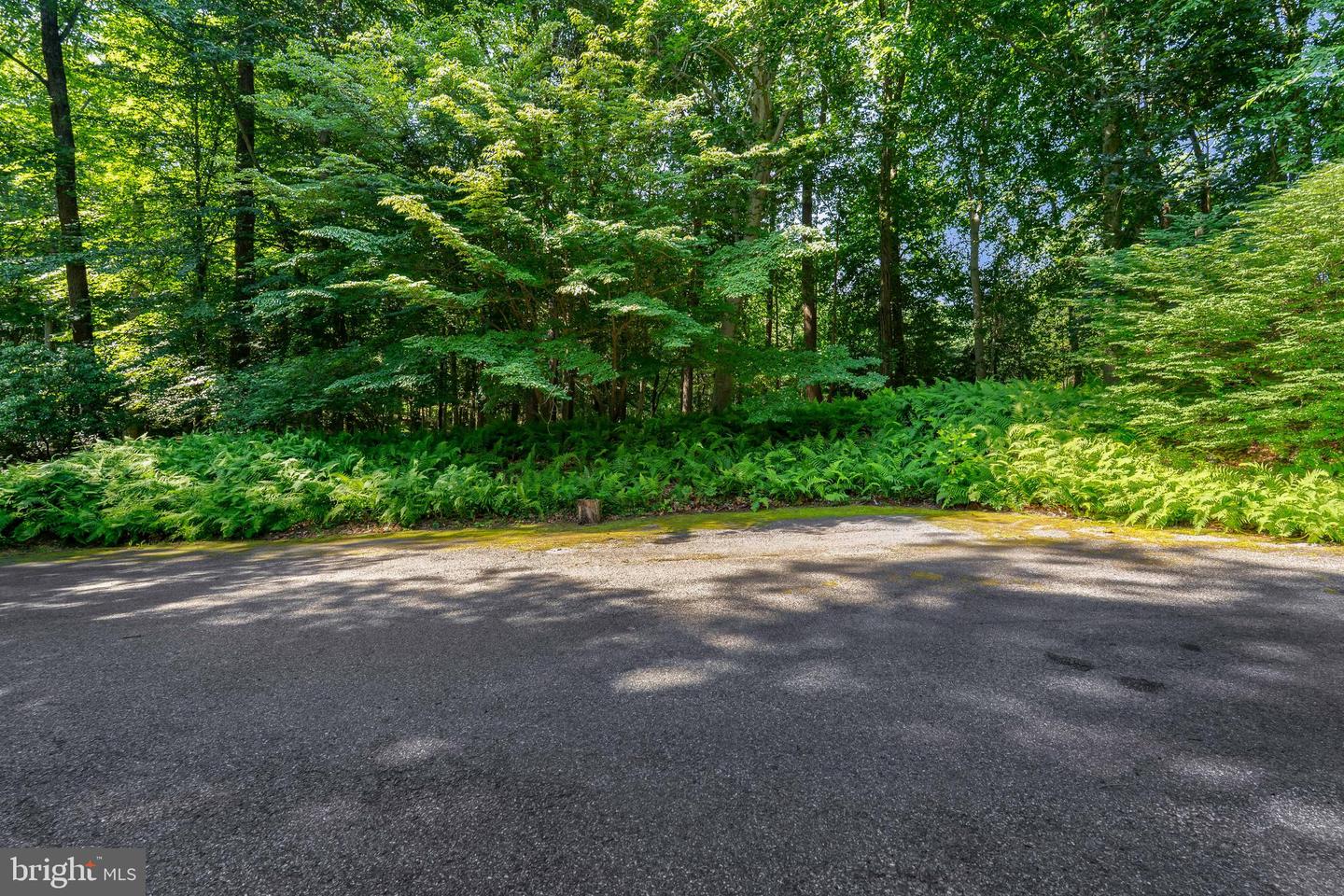 65 Calvary Rd Property Photo 51