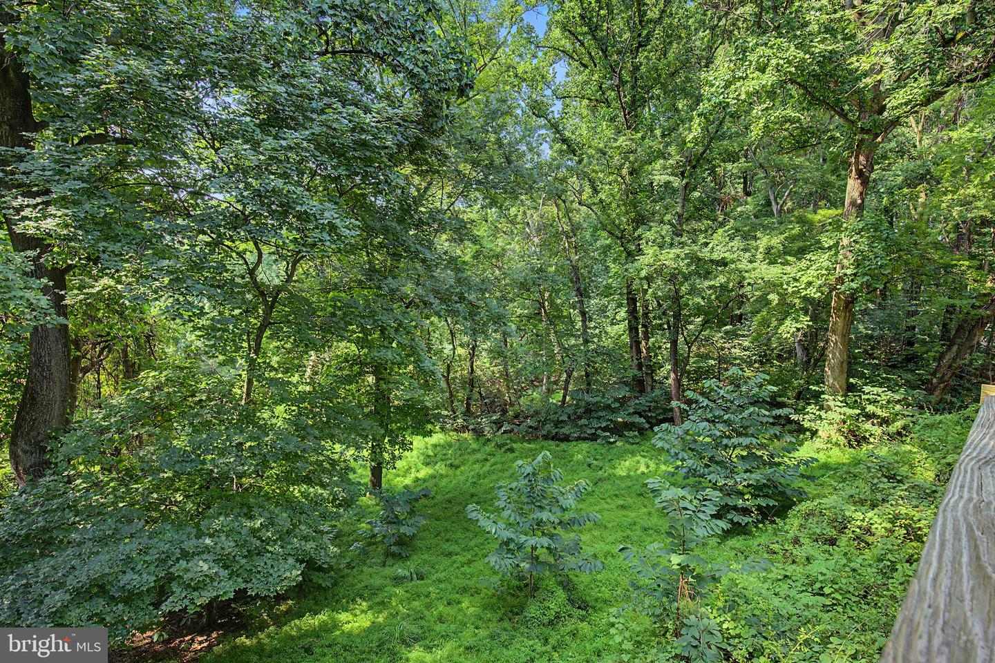 5276 Turkey Point Rd Property Photo 56