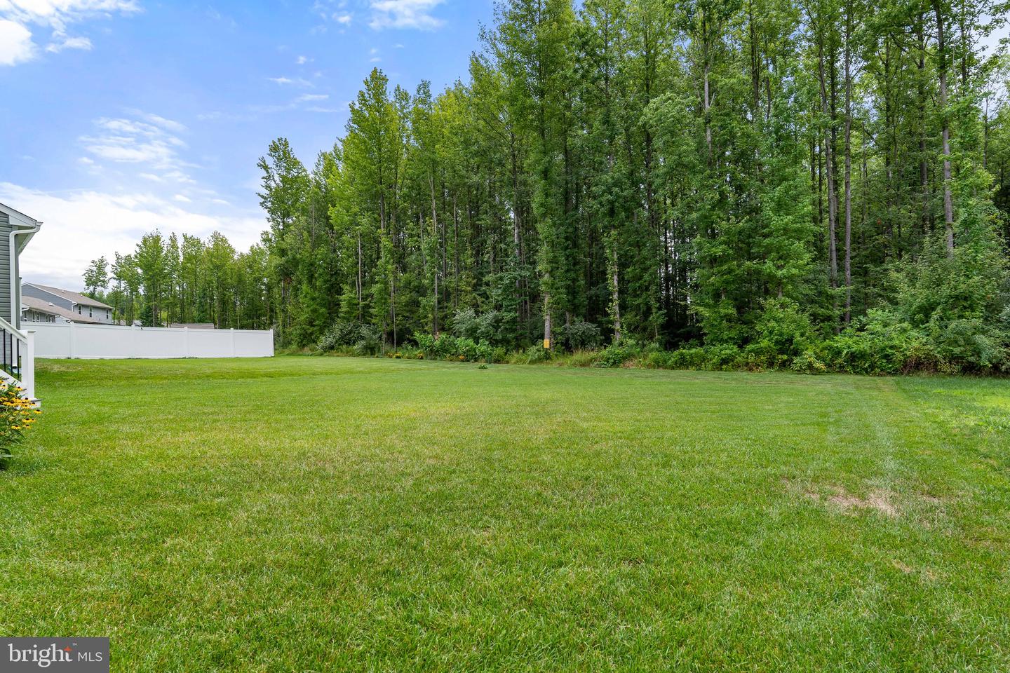 117 Goldspire Dr Property Photo 30