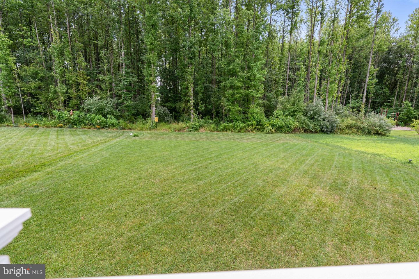 117 Goldspire Dr Property Photo 31
