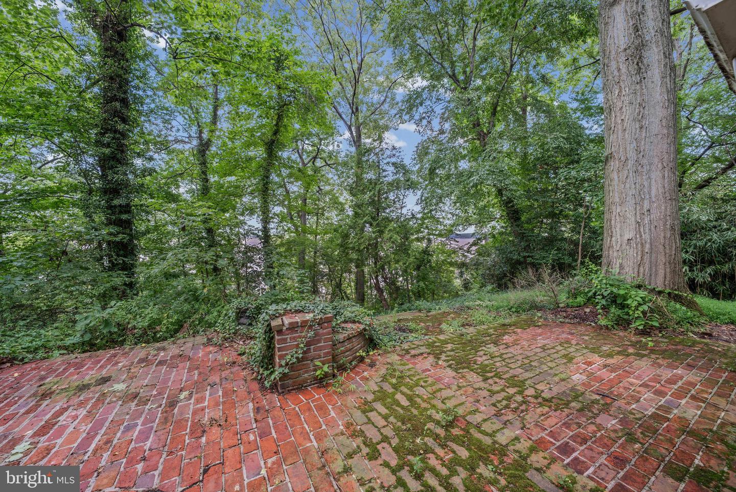 1645 Elk Forest Rd Property Photo 18