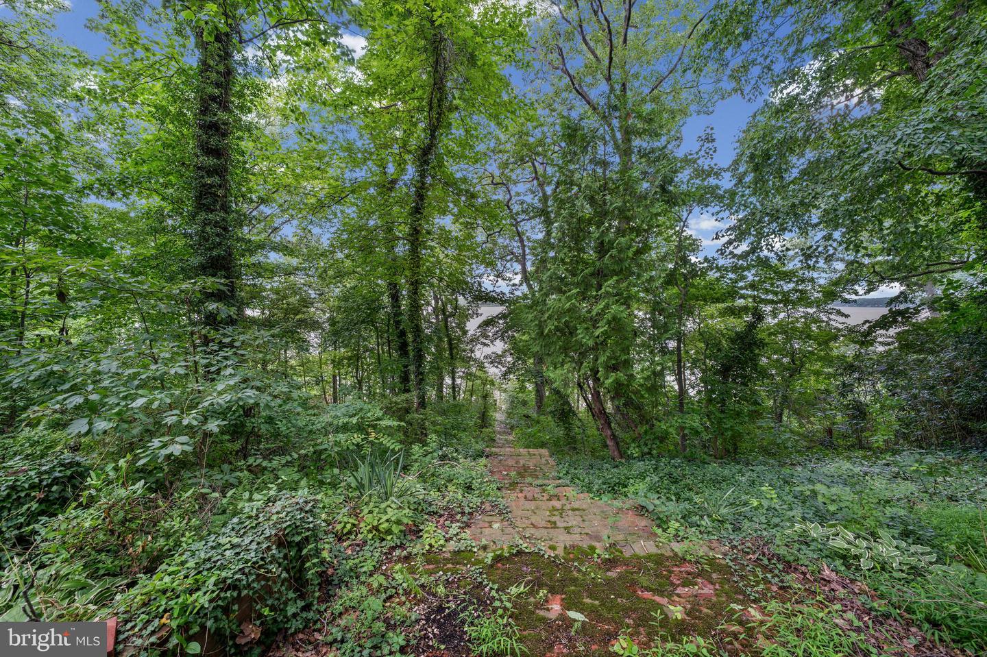 1645 Elk Forest Rd Property Photo 19