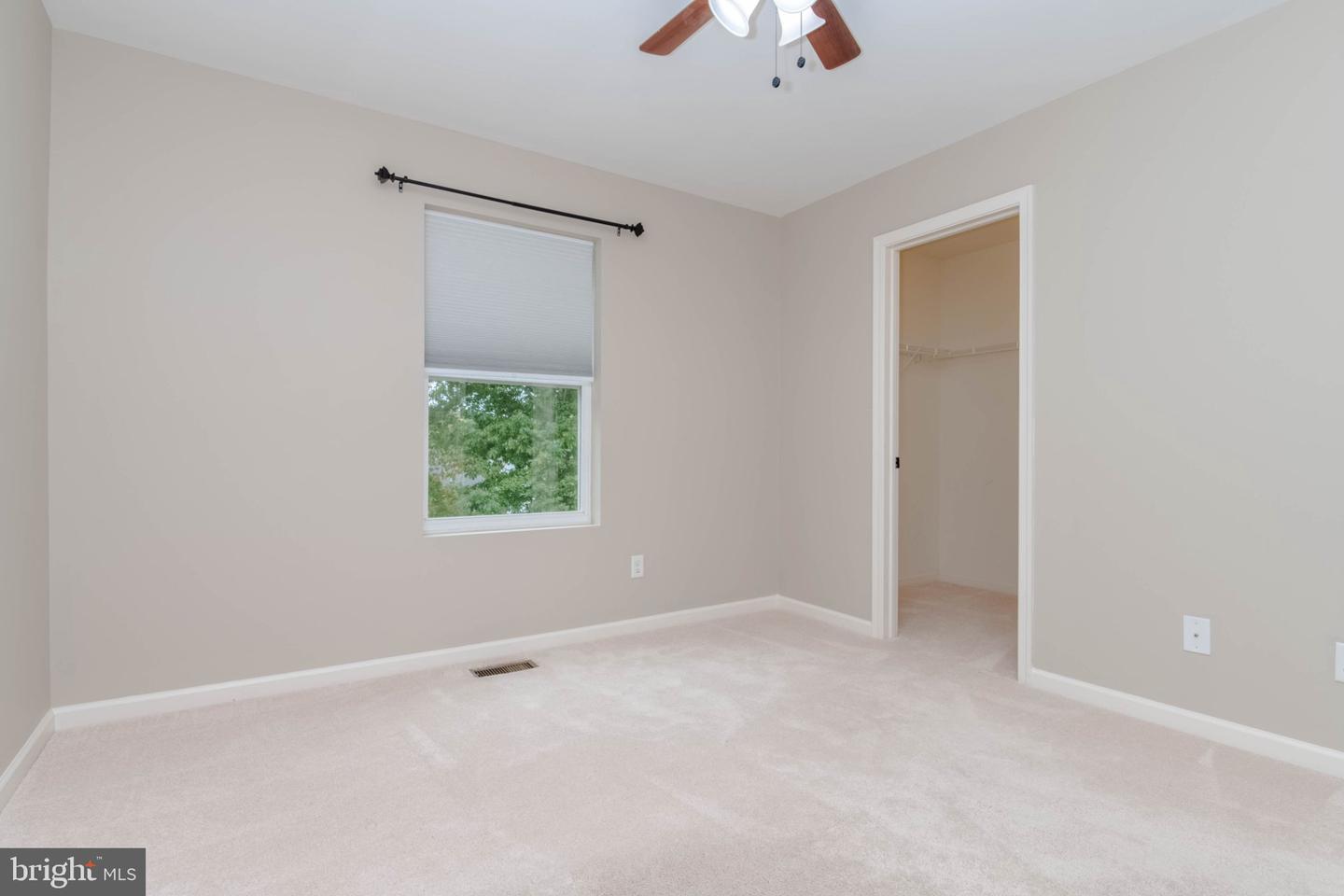 163 Cool Springs Rd Property Photo 40