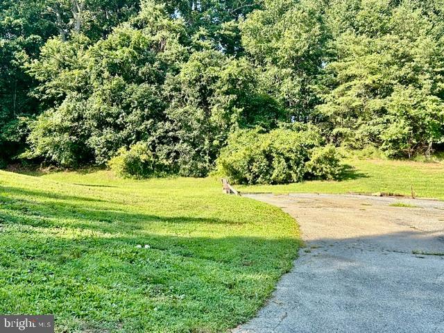 889 Union Church Rd Property Photo 5
