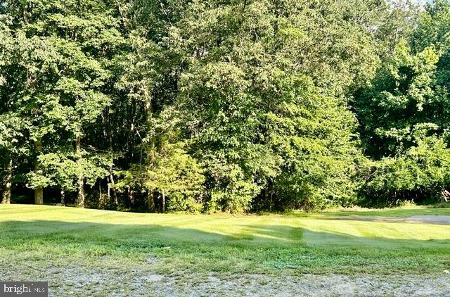 889 Union Church Rd Property Photo 8