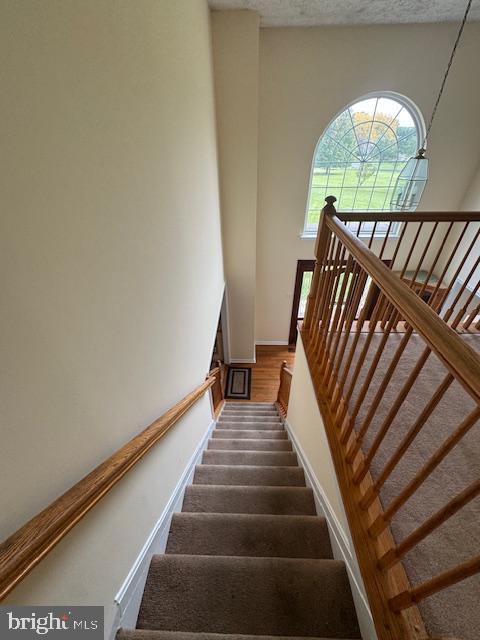 193 Tally Ho Ct Property Photo 40