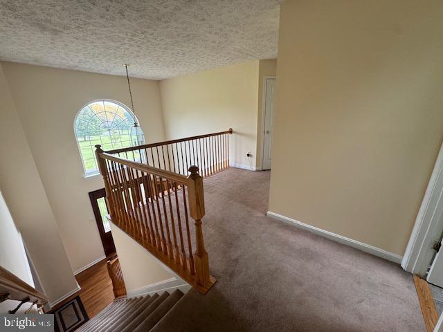 193 Tally Ho Ct Property Photo 41