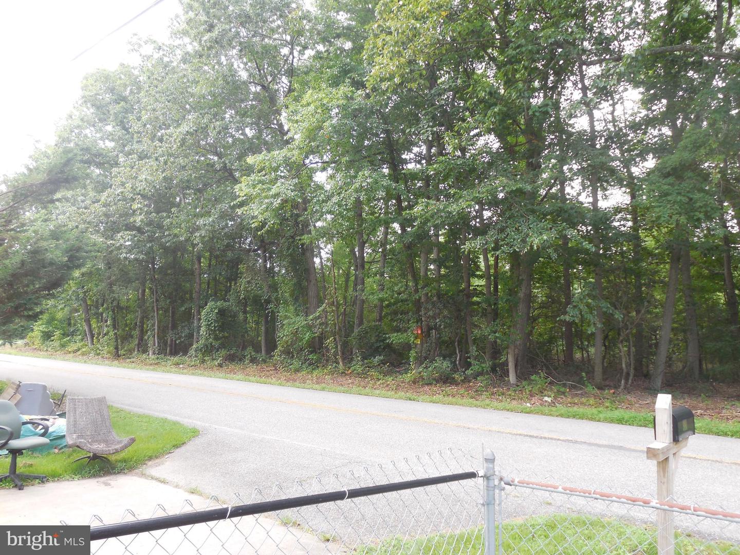 981 Court House Rd Property Photo 39