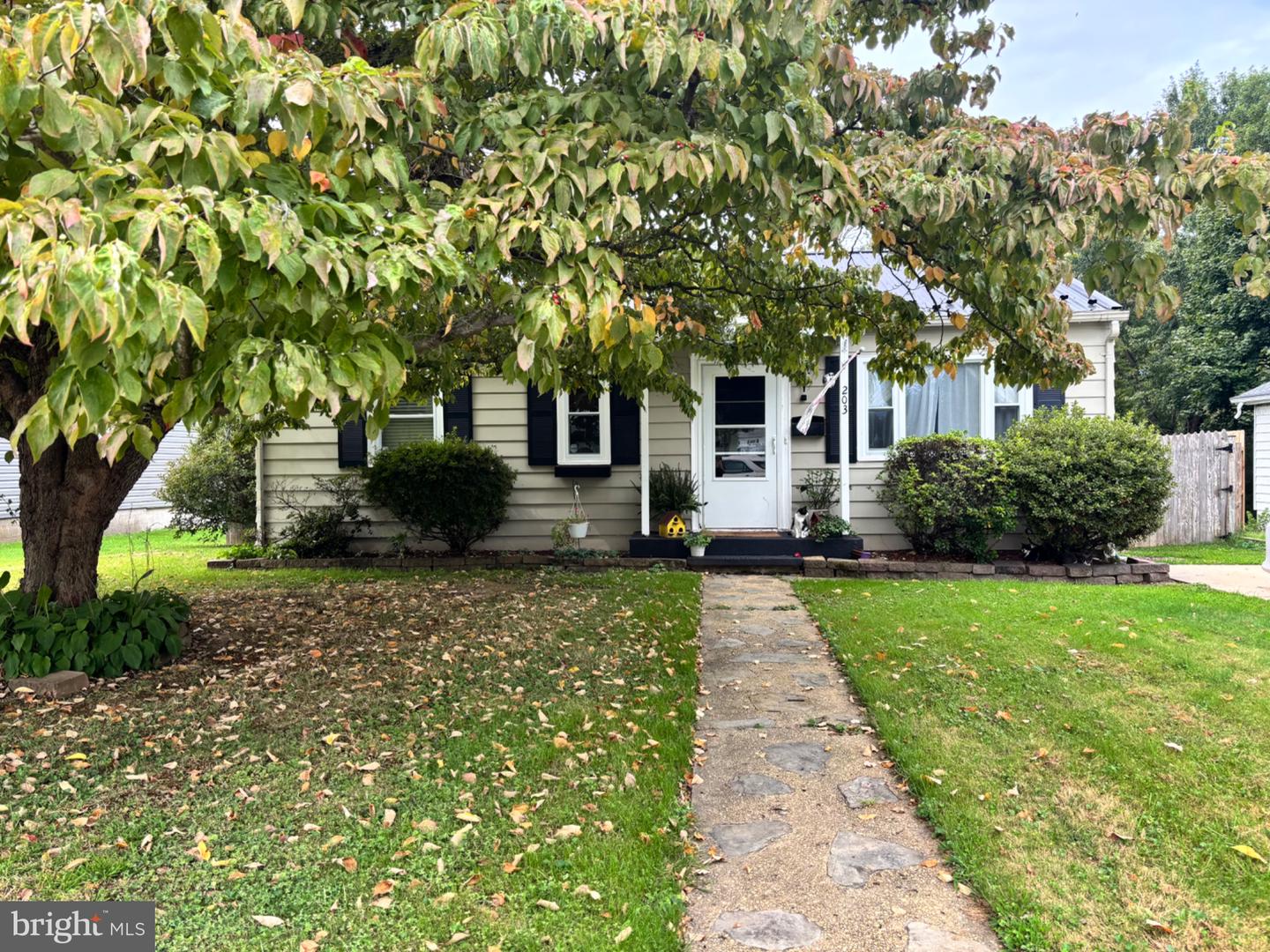 203 HOWARD ST Property Photo 1