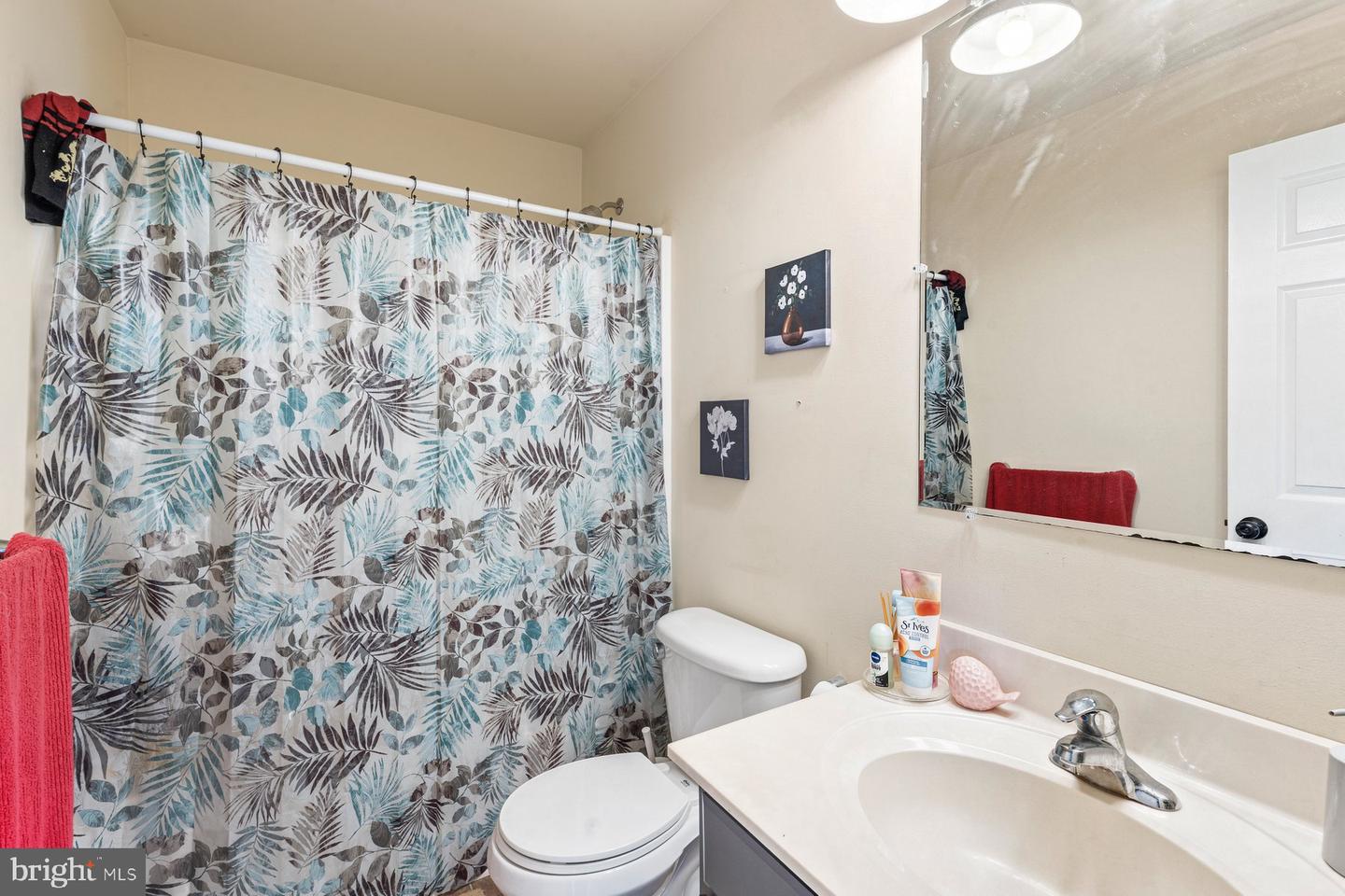 6 Shannon Dr Property Photo 20