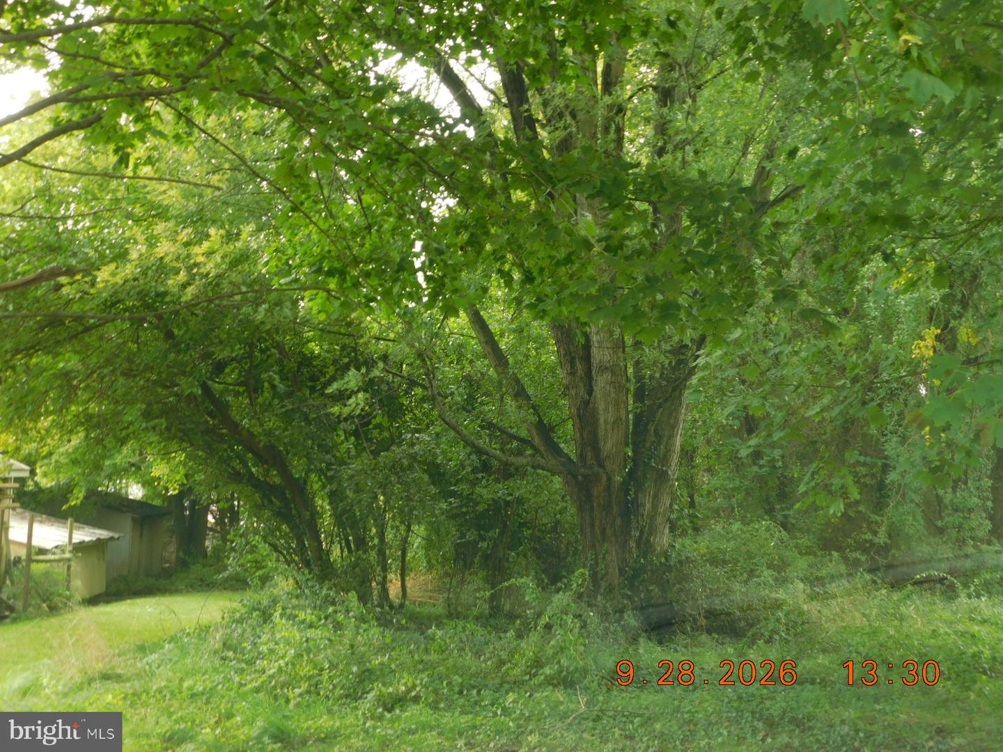 Principio Furnace Rd Property Photo 4