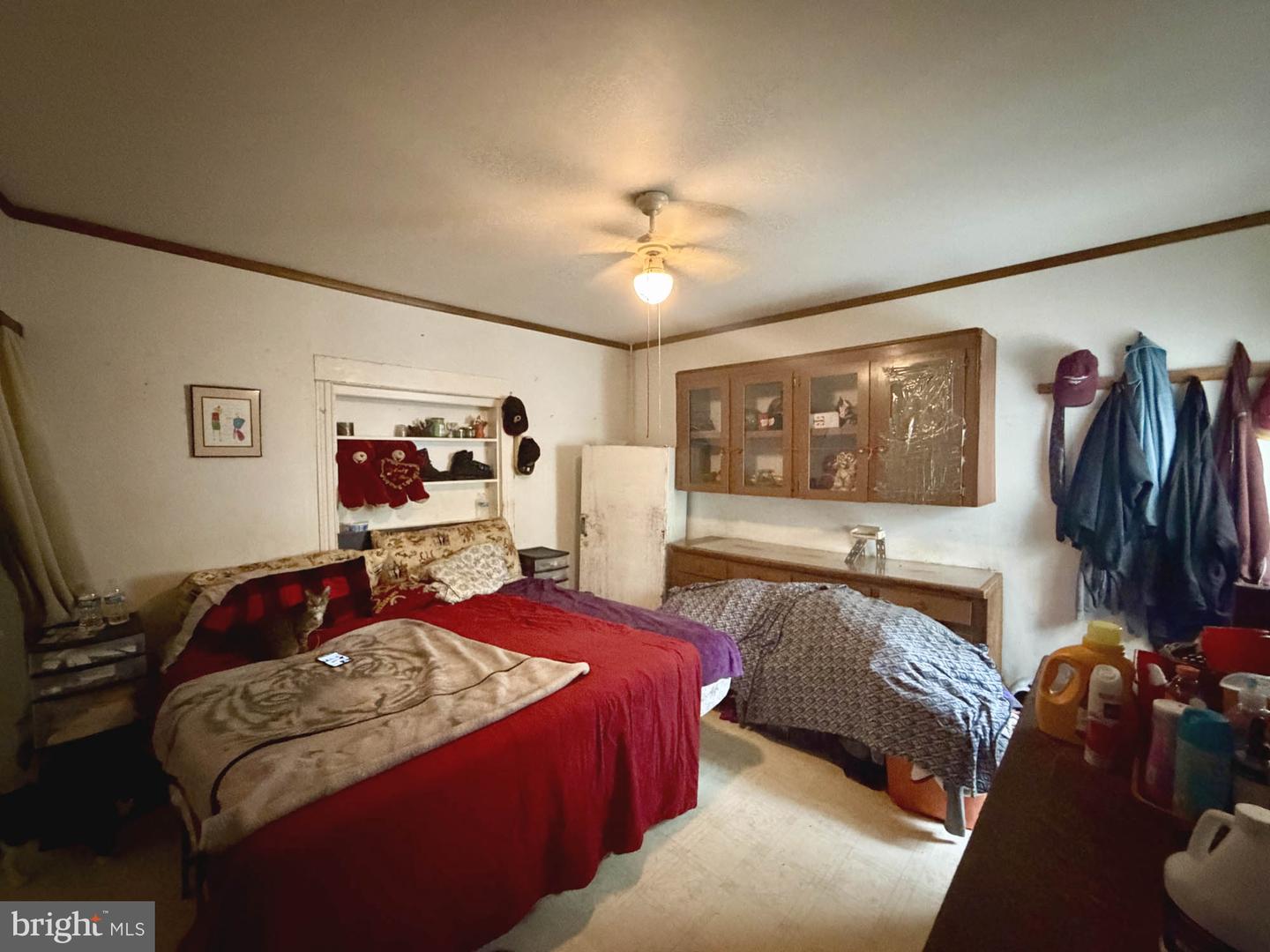 133 Maffitt St Property Photo 6